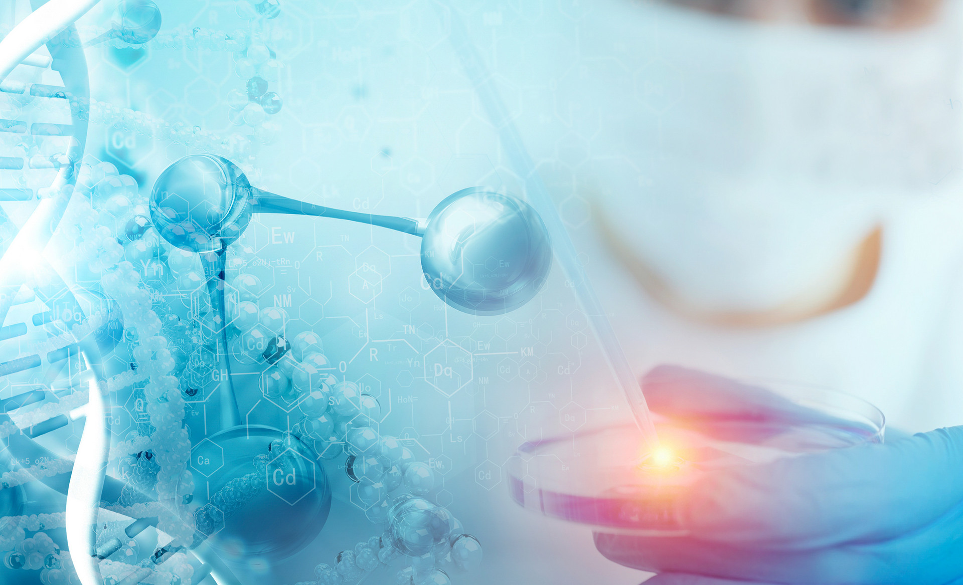 888sl电子游戏登录入口